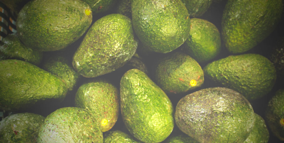 Productora y Comercializadora Agrícola