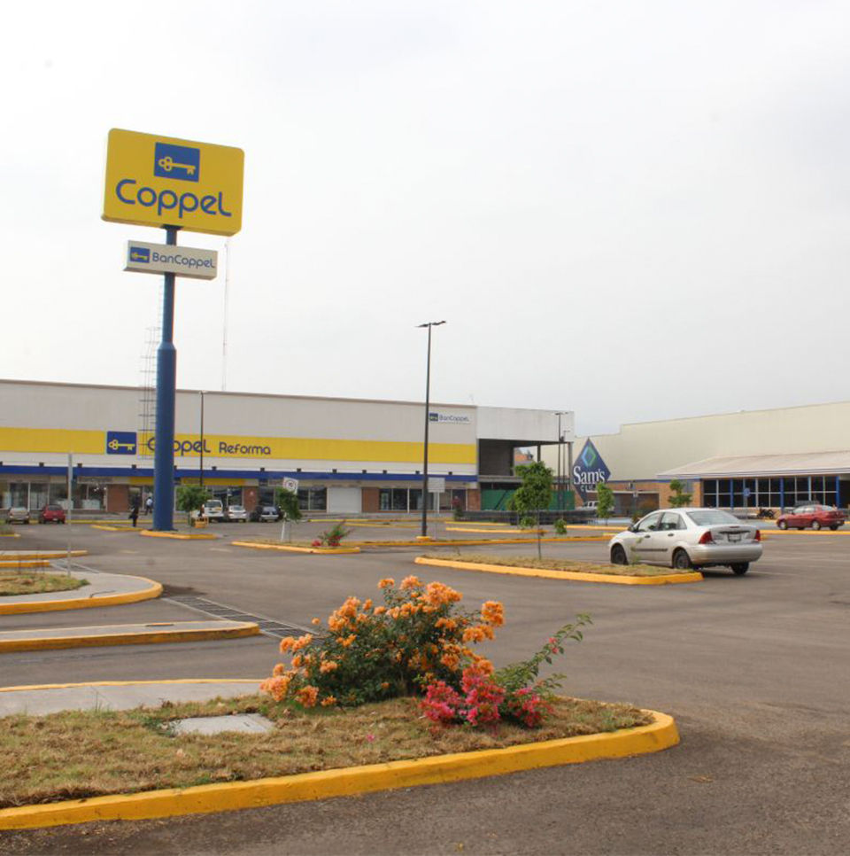 Desarrollador y Arrendador Inmobiliario