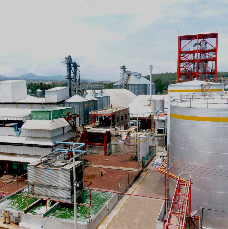 FABRICACIÓN DE ACEITES VEGETALES